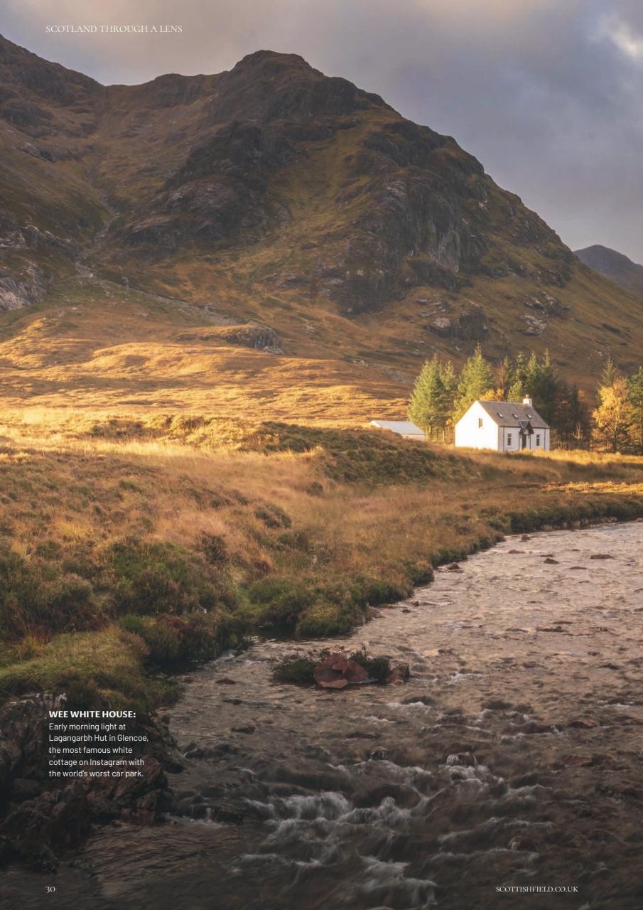 Scottish Field Preview Pages