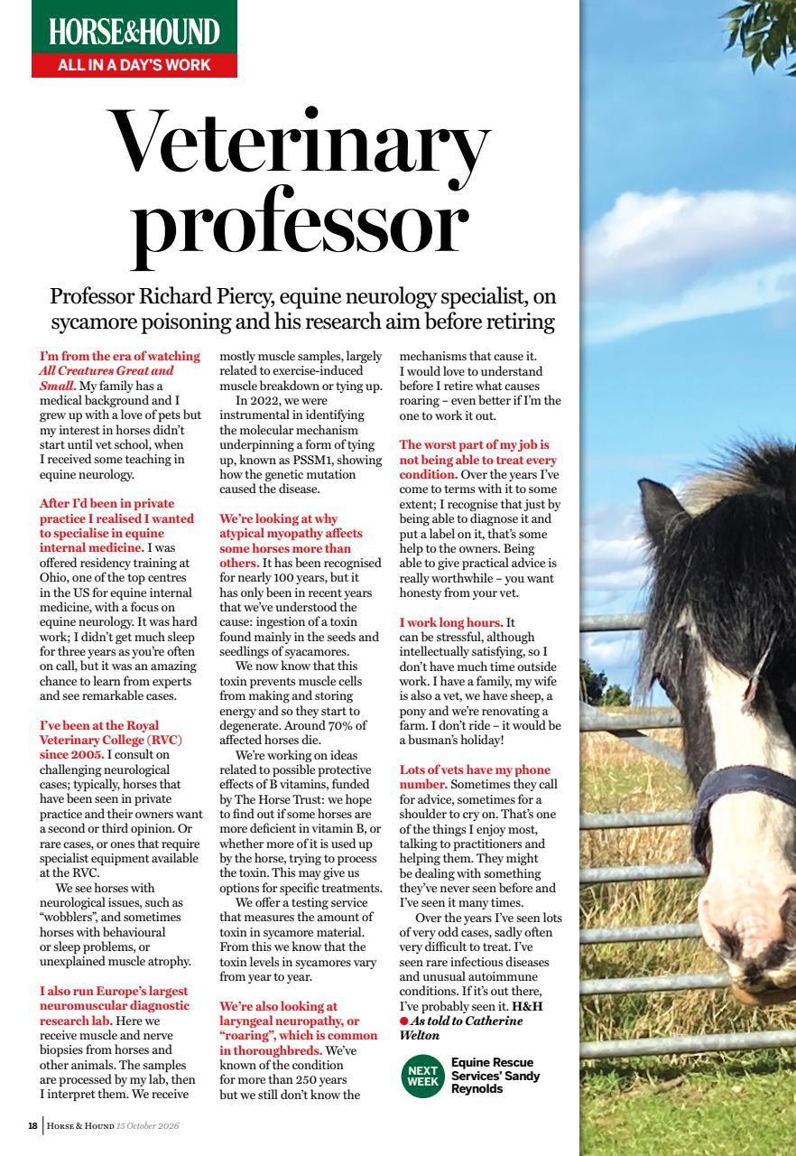 Horse & Hound Preview Pages