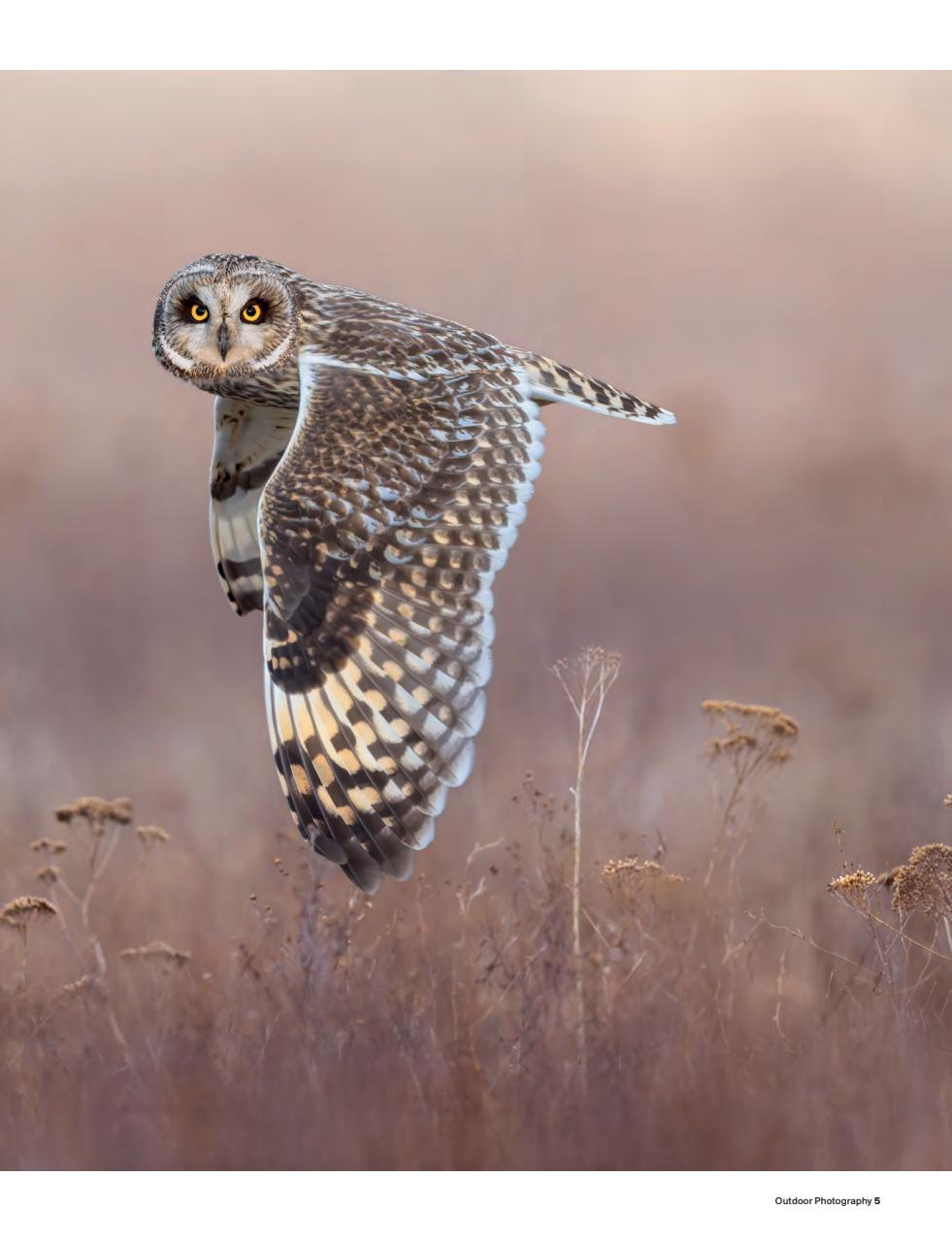 Outdoor Photography Preview Pages