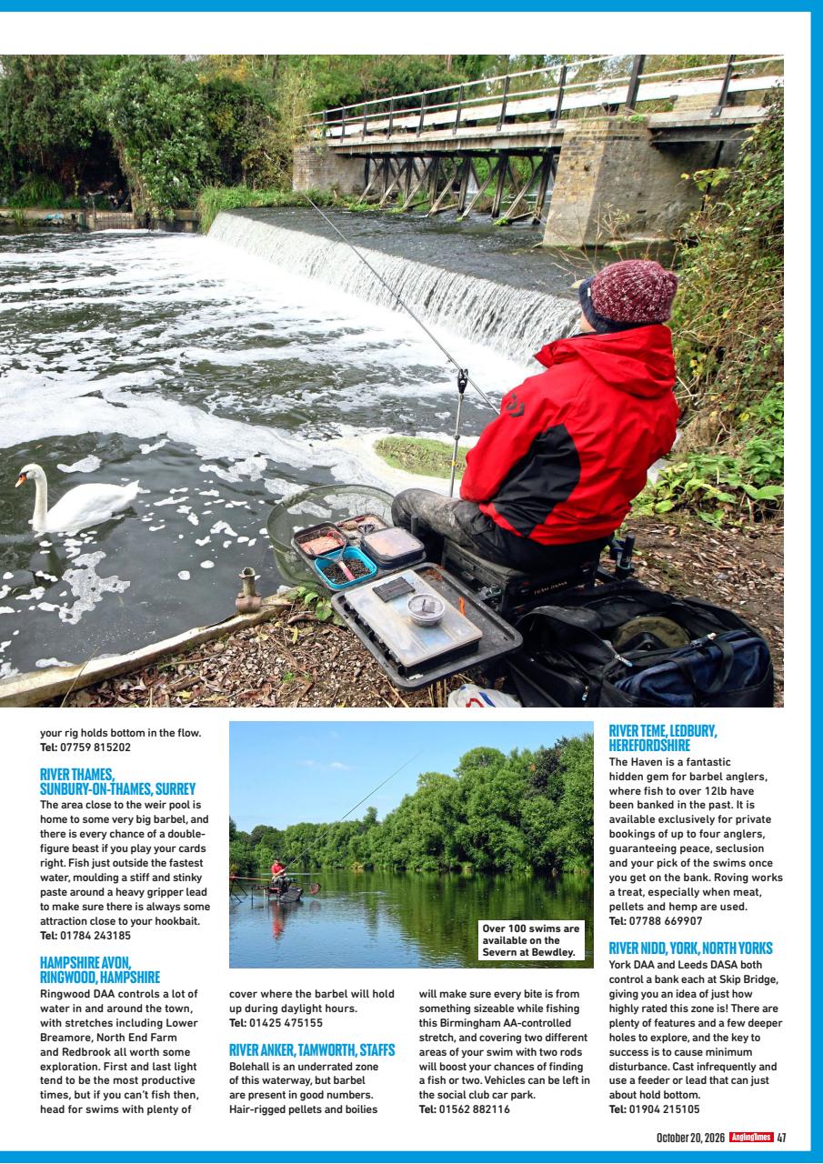 Angling Times Preview Pages