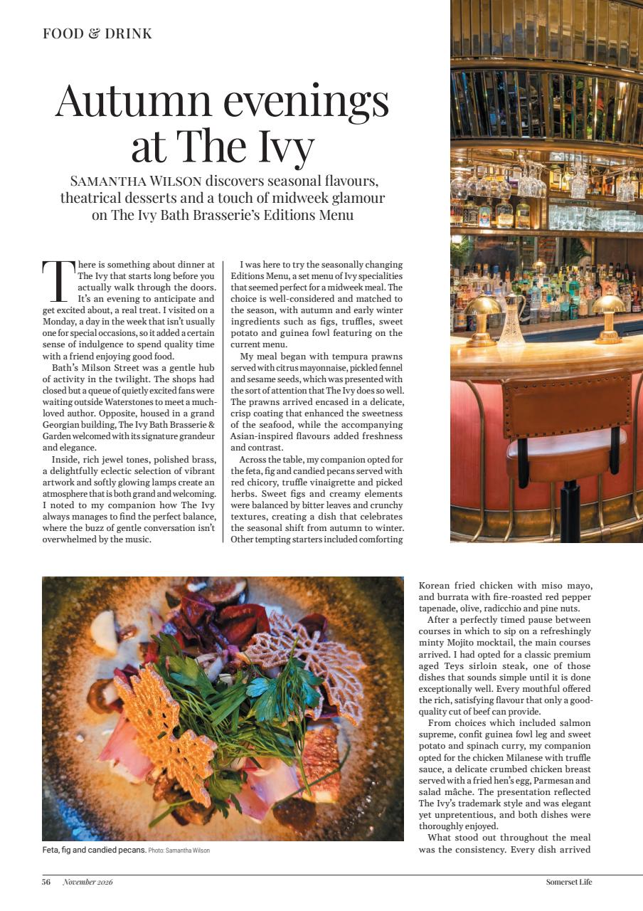Somerset Life Preview Pages