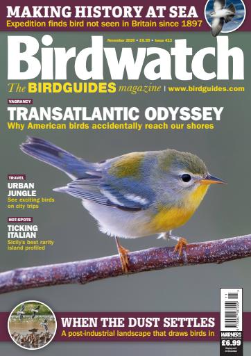 Birdwatch Magazine issue 
