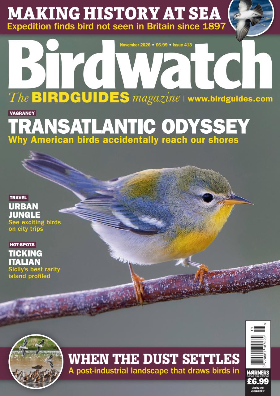 Birdwatch Magazine Preview Pages