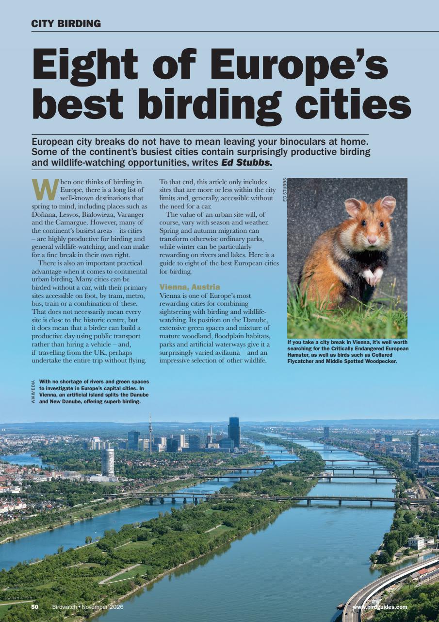 Birdwatch Magazine Preview Pages