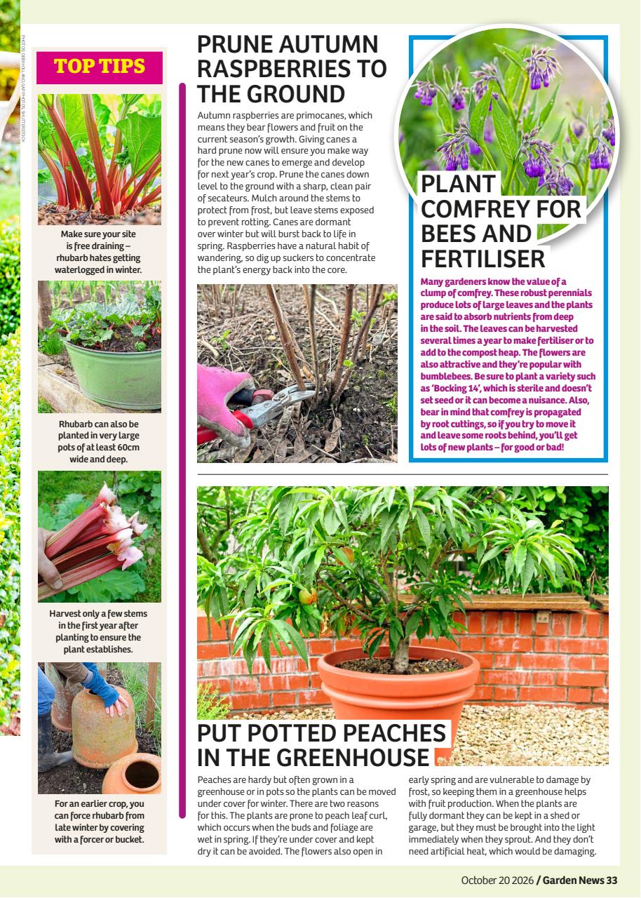 Garden News Preview Pages