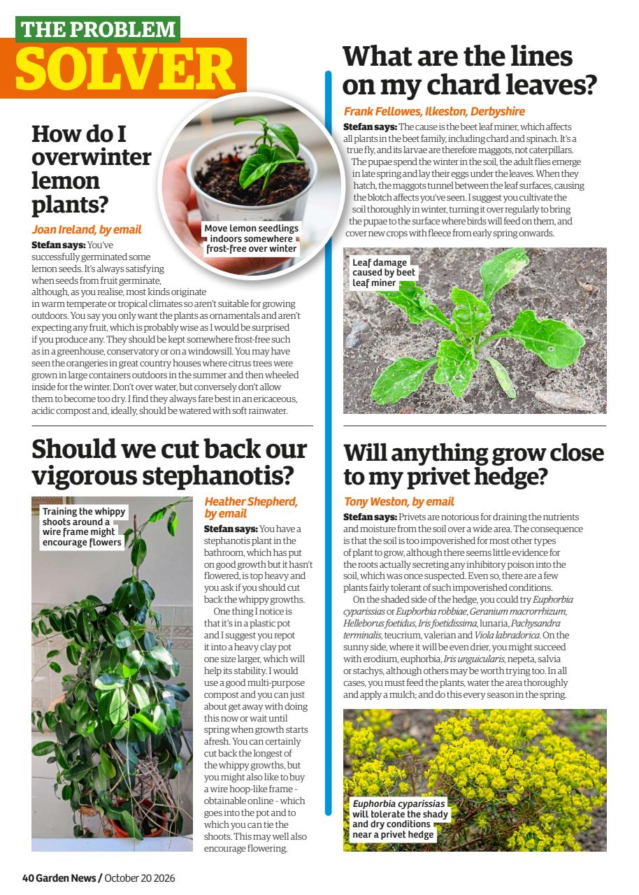 Garden News Preview Pages