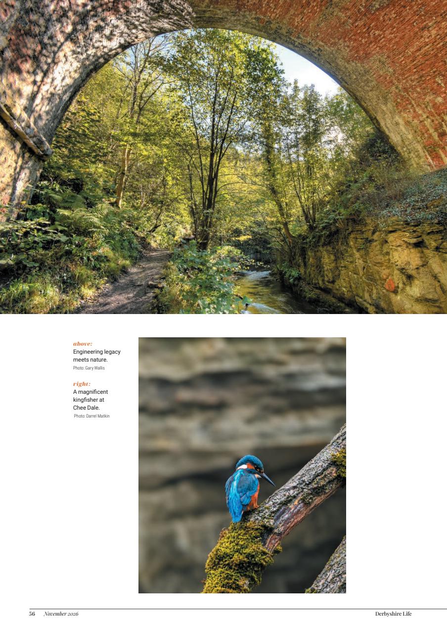 Derbyshire Life Preview Pages