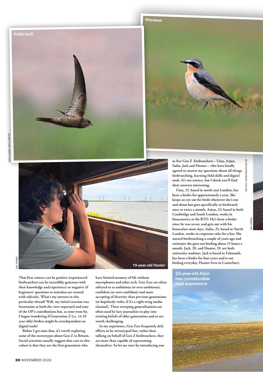 Bird Watching Preview Pages