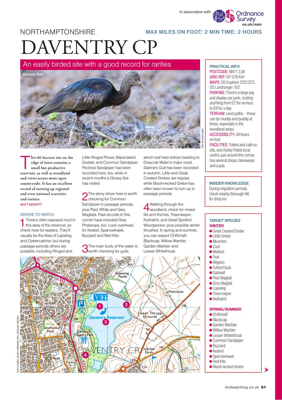 Bird Watching Preview Pages