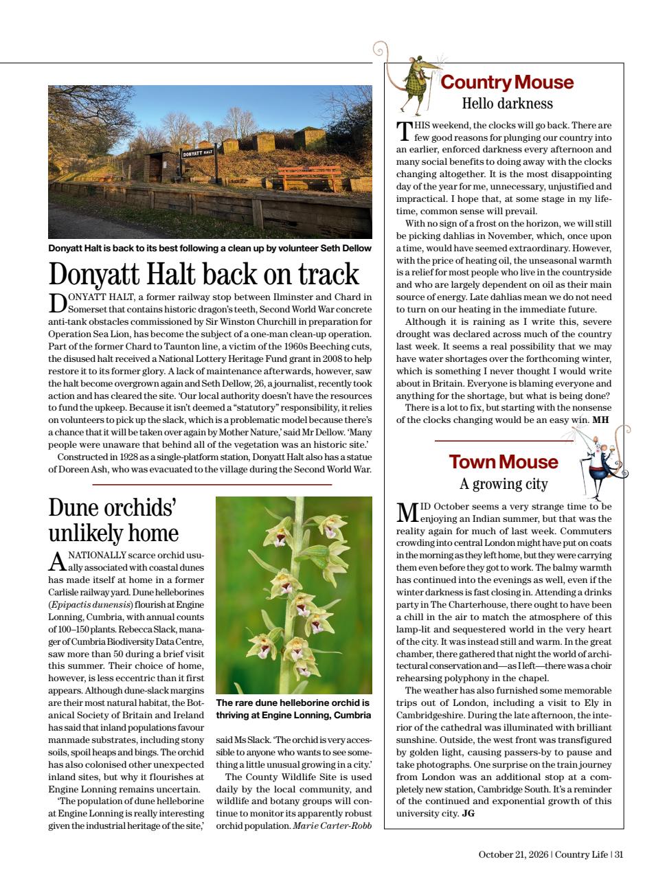 Country Life Preview Pages