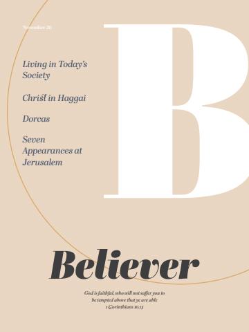 Believer Magazine issue November 2026