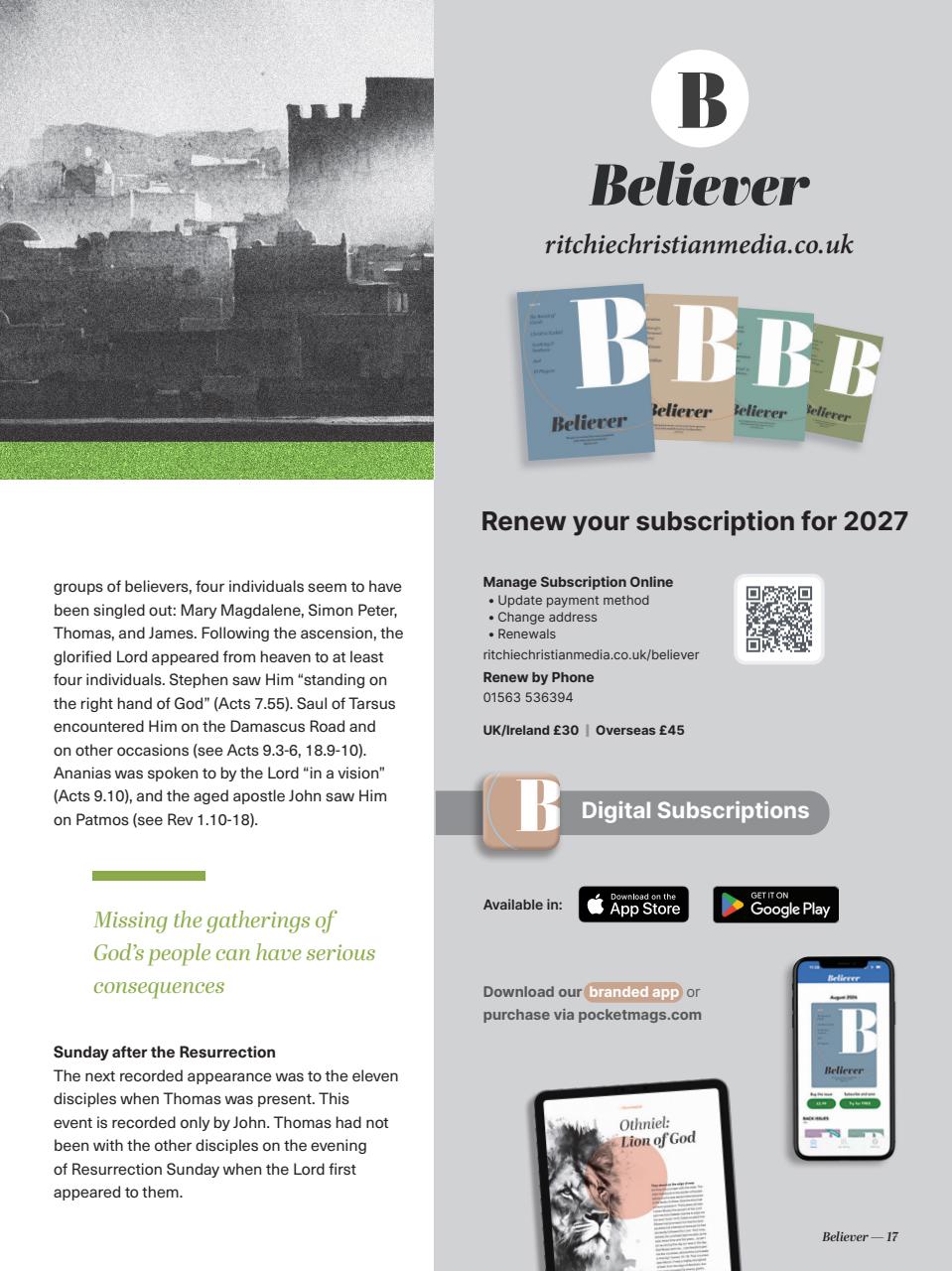 Believer Magazine Preview Pages