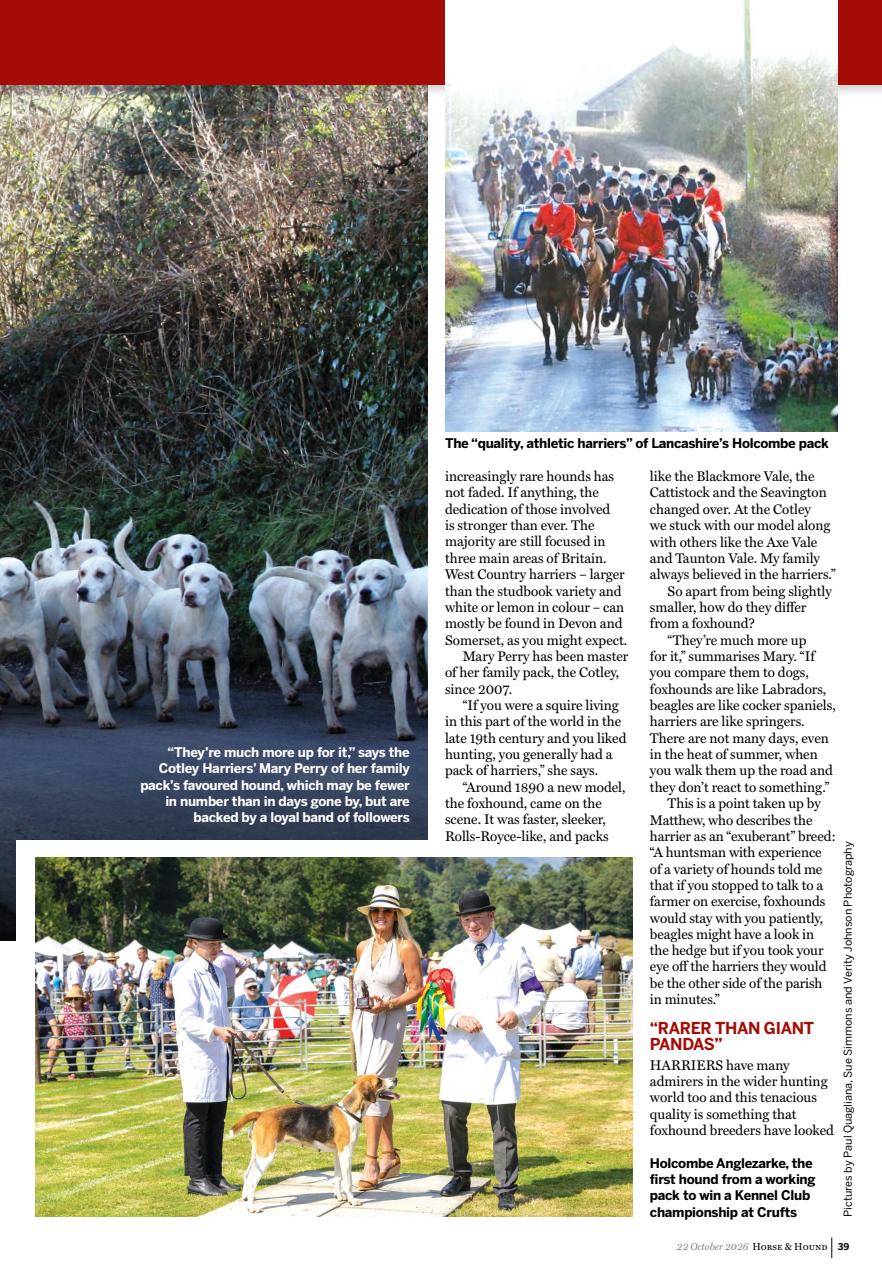Horse & Hound Preview Pages