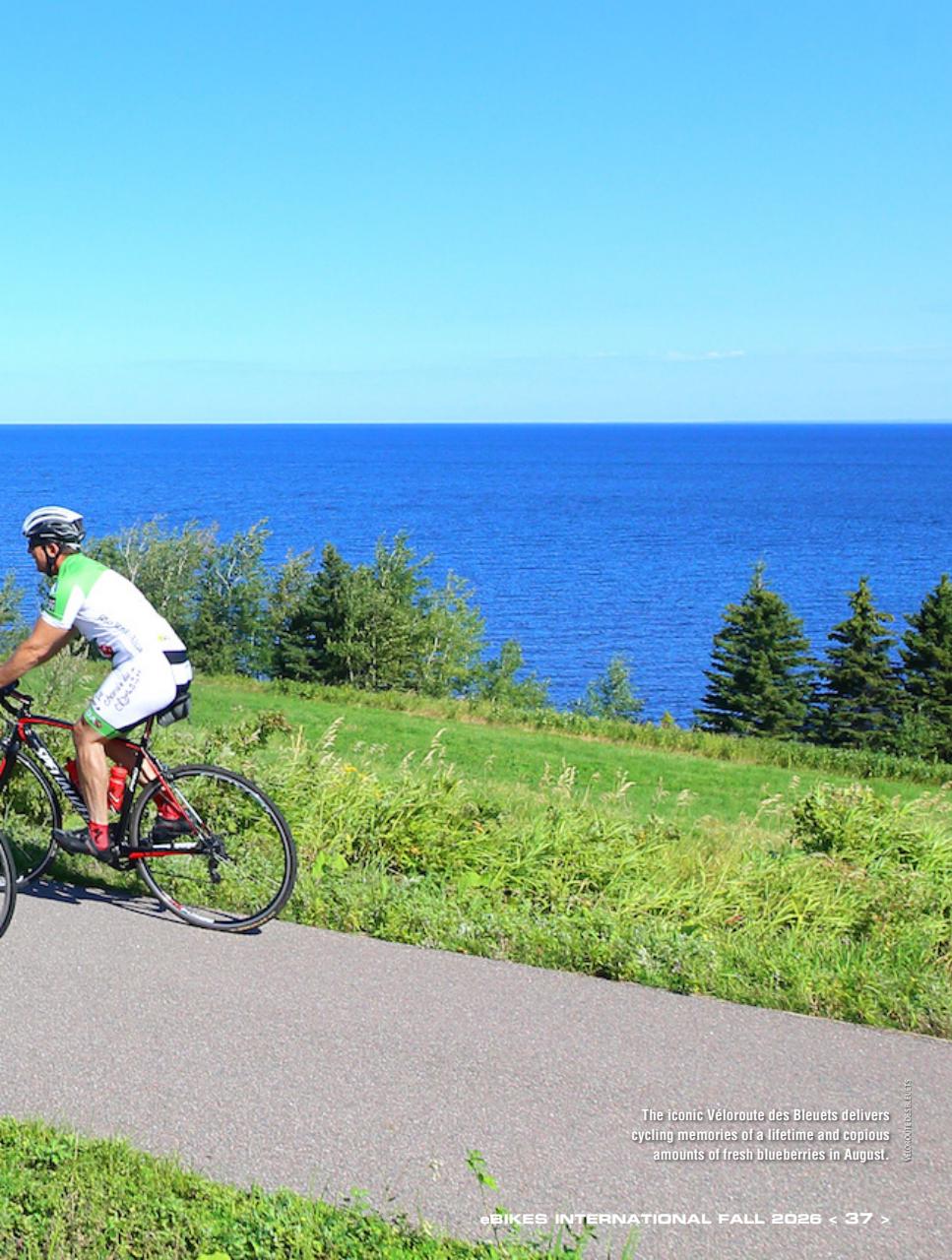 eBikes International Preview Pages