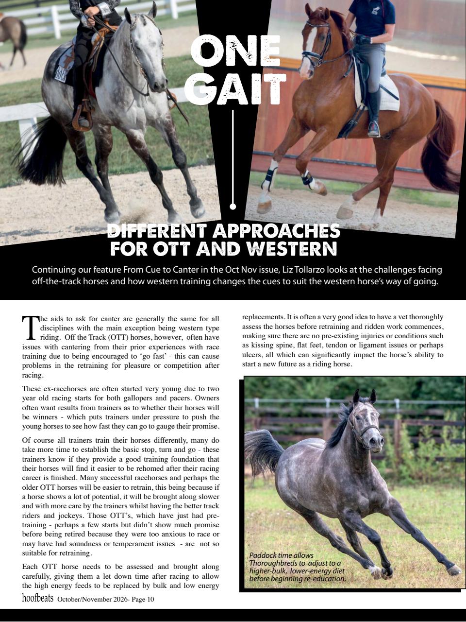 Hoofbeats Preview Pages