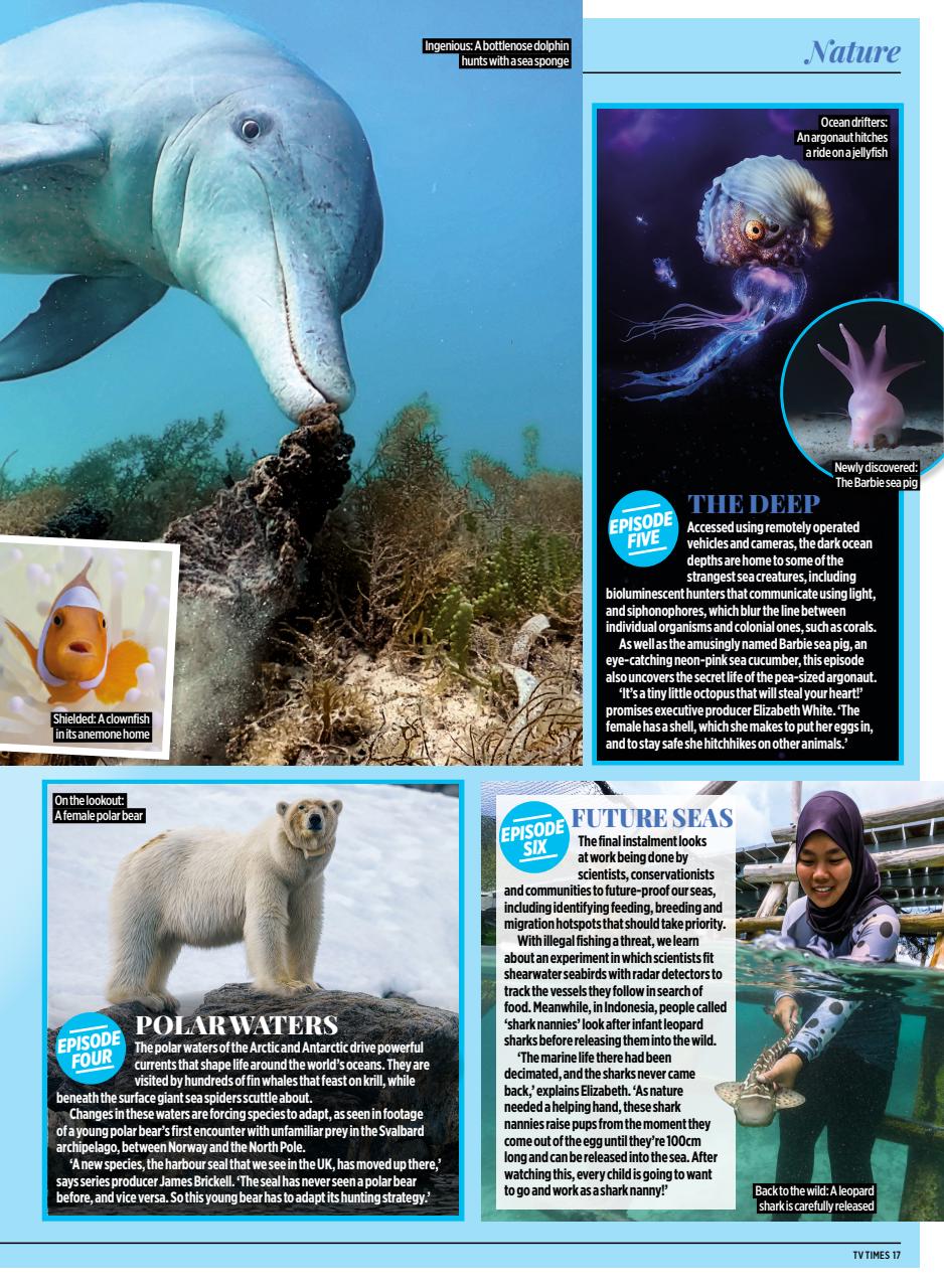 TV Times Preview Pages