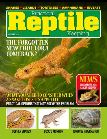Practical Reptile Keeping issue October 2026