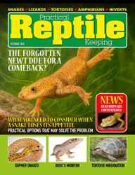 Practical Reptile Keeping Discounts