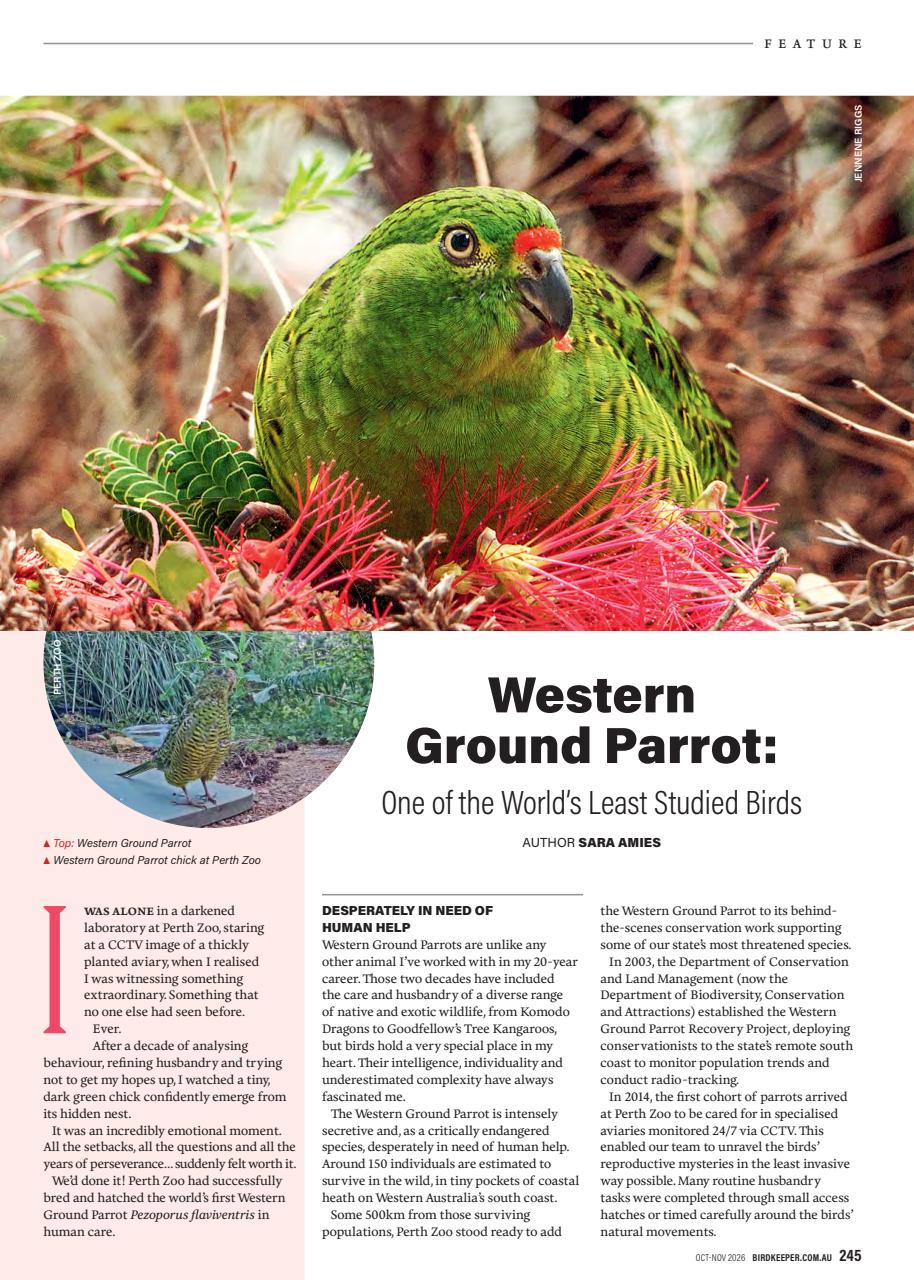 Australian Birdkeeper Magazine Preview Pages