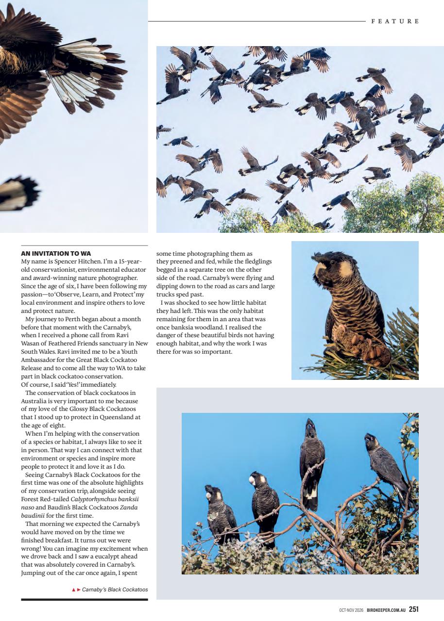 Australian Birdkeeper Magazine Preview Pages