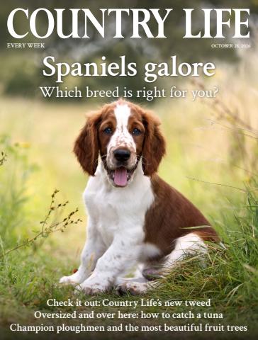 Country Life issue 28th October 2026