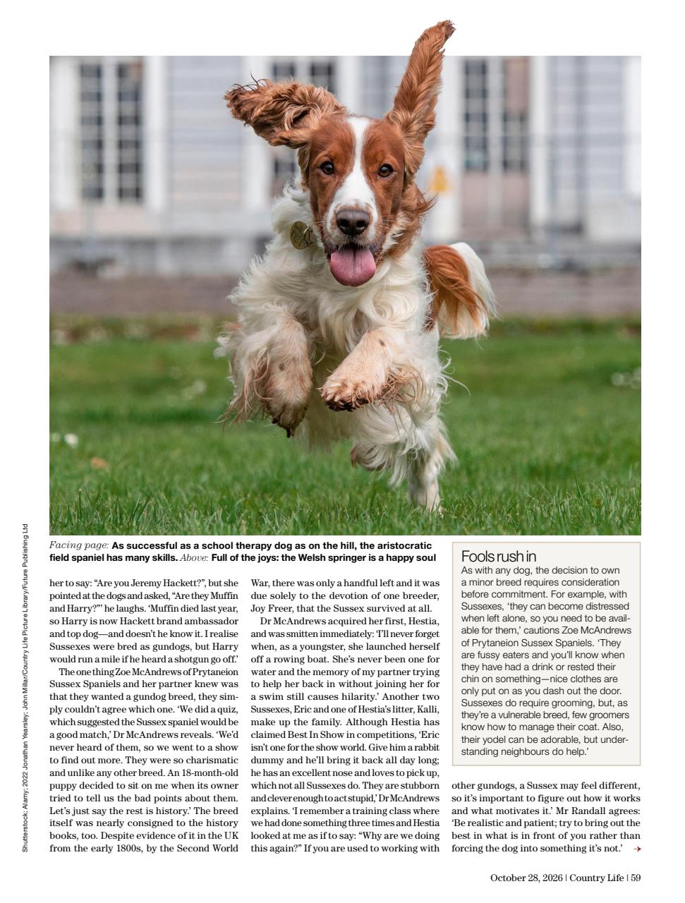 Country Life Preview Pages