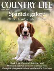 Country Life Complete Your Collection Cover 1