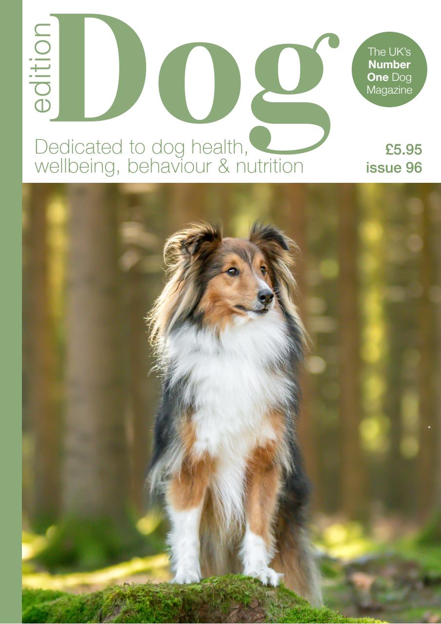 Edition Dog Preview Pages
