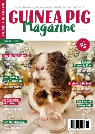 Guinea Pig Magazine issue 