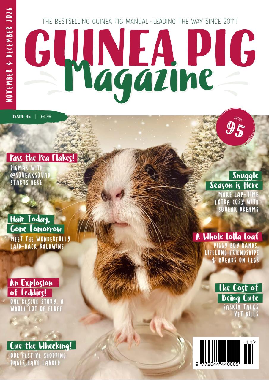 Guinea Pig Magazine Preview Pages
