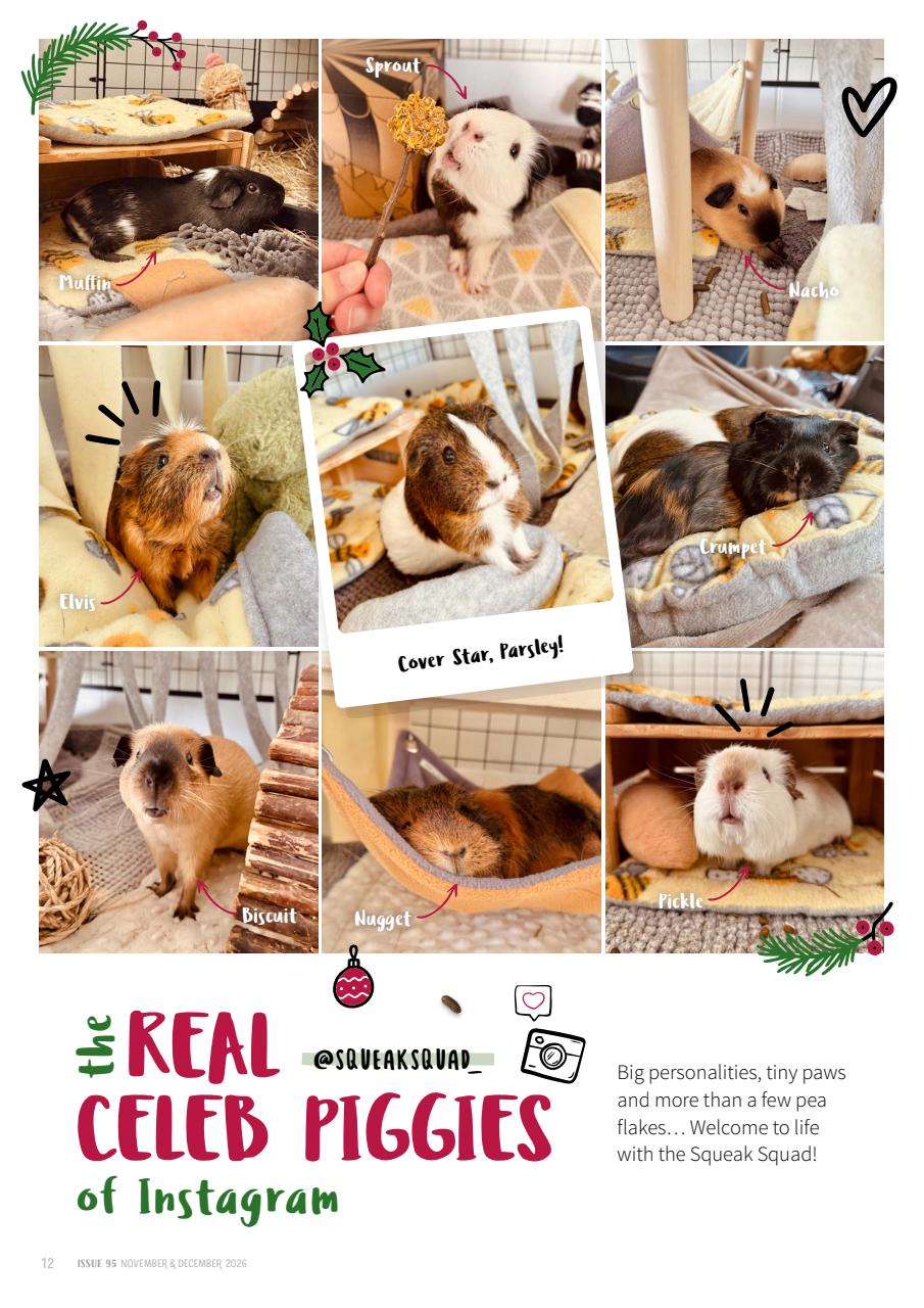 Guinea Pig Magazine Preview Pages