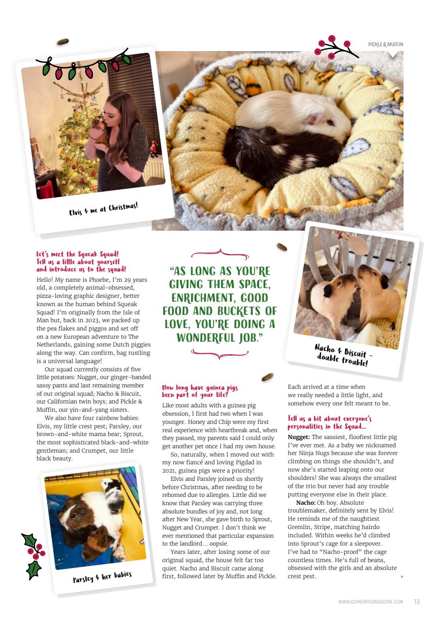 Guinea Pig Magazine Preview Pages