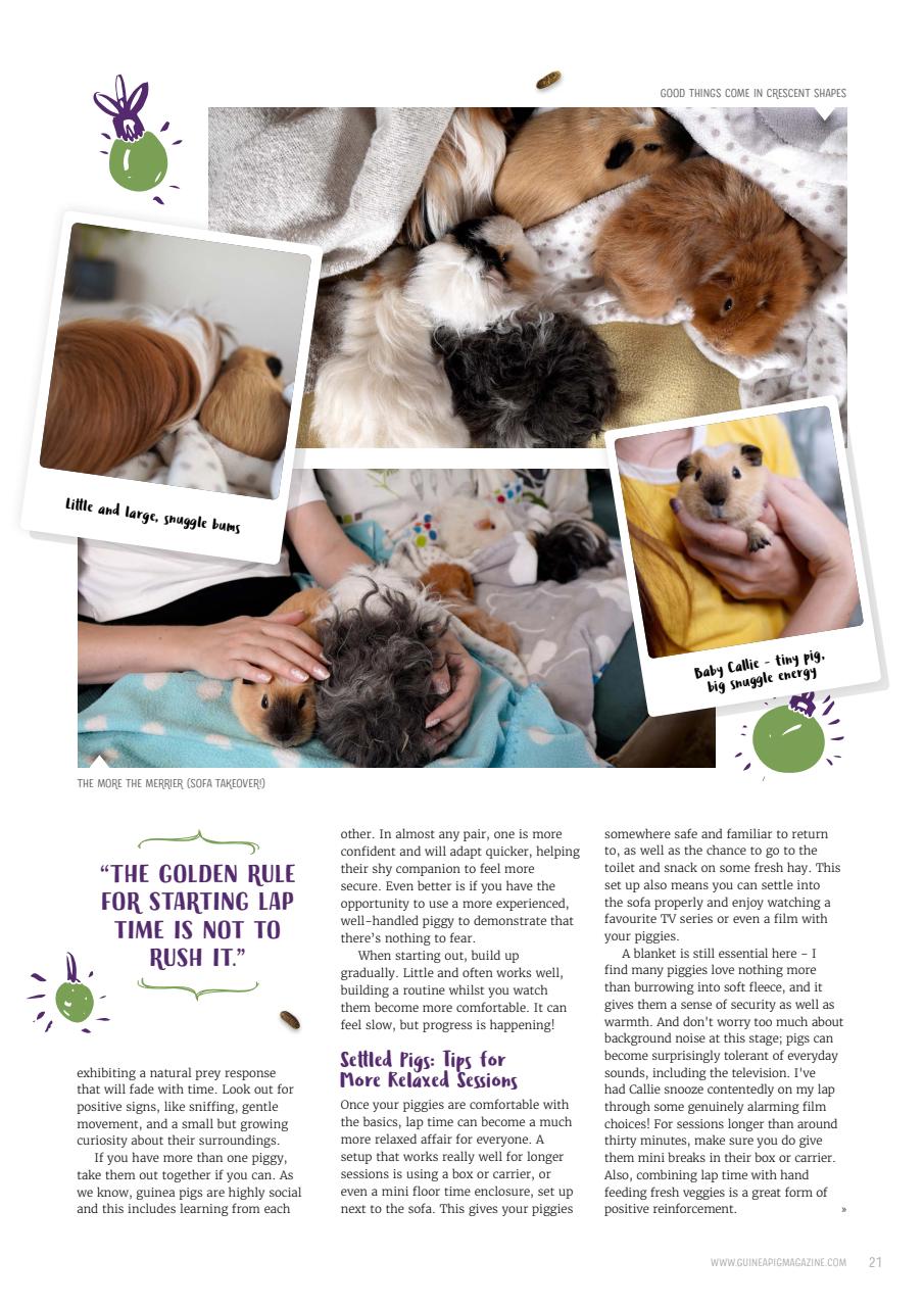 Guinea Pig Magazine Preview Pages