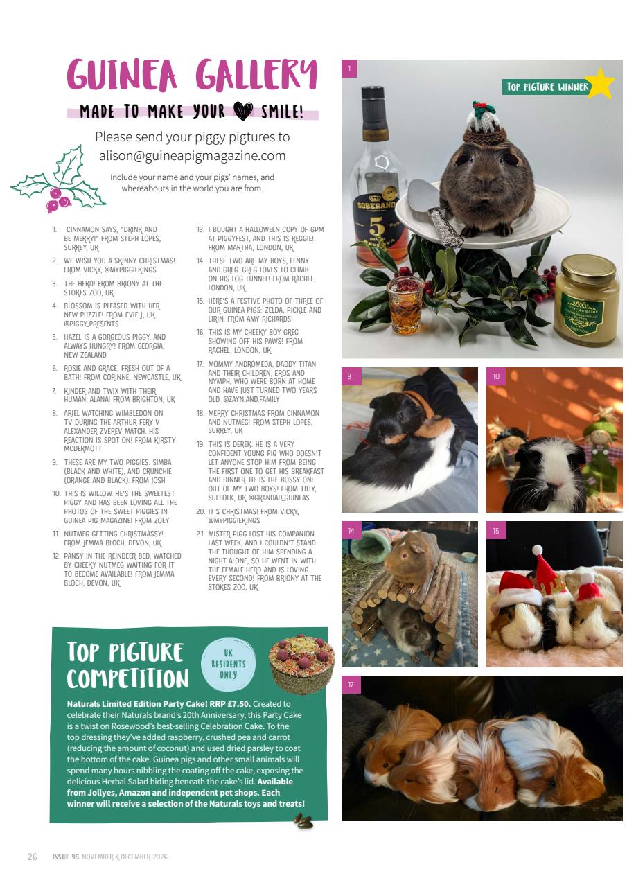 Guinea Pig Magazine Preview Pages