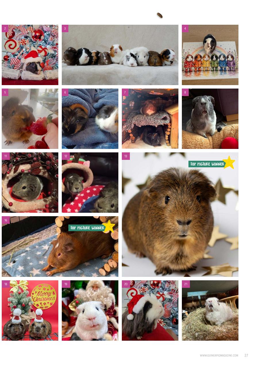Guinea Pig Magazine Preview Pages