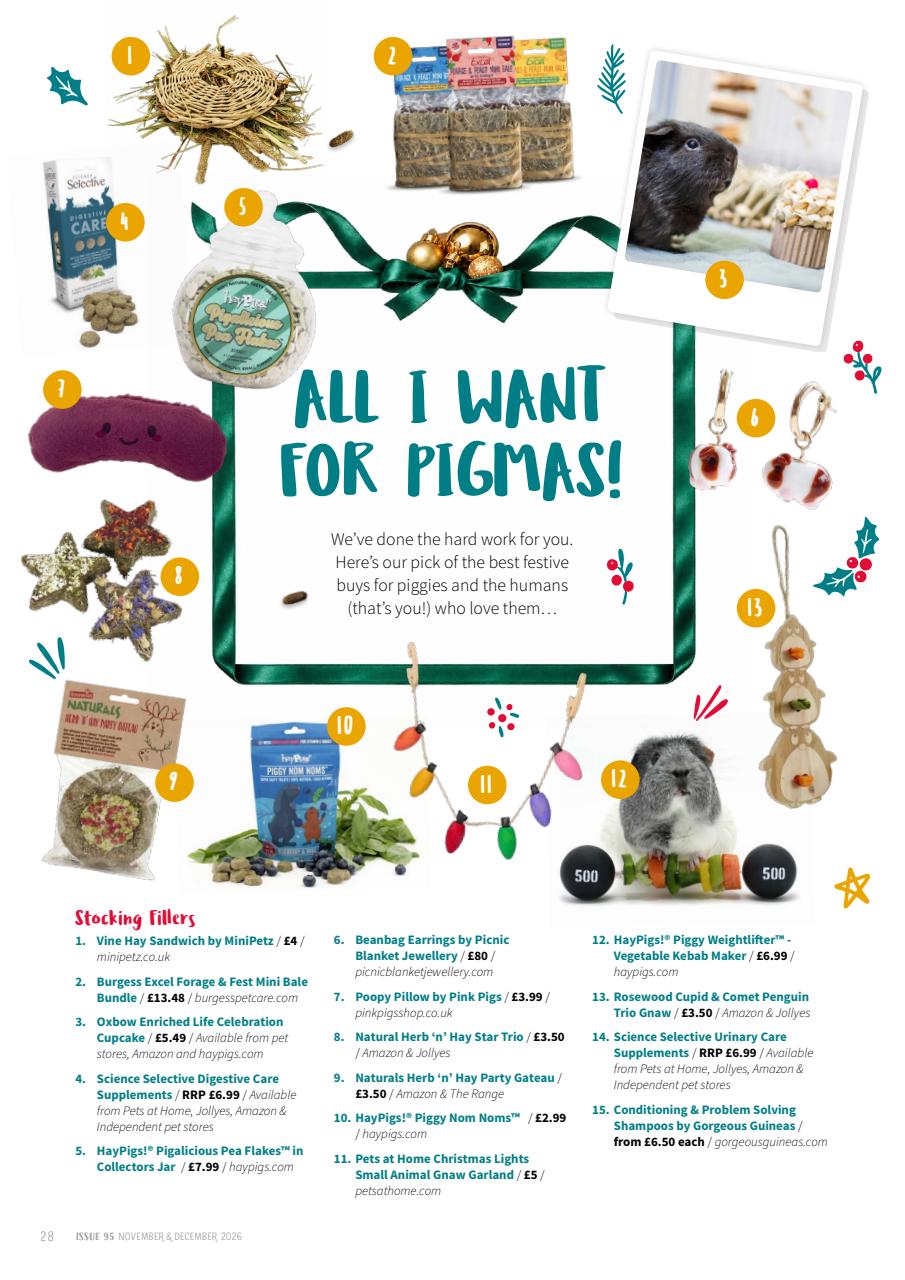 Guinea Pig Magazine Preview Pages