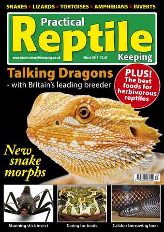Practical Reptile Keeping issue No.23 Bearded Dragons