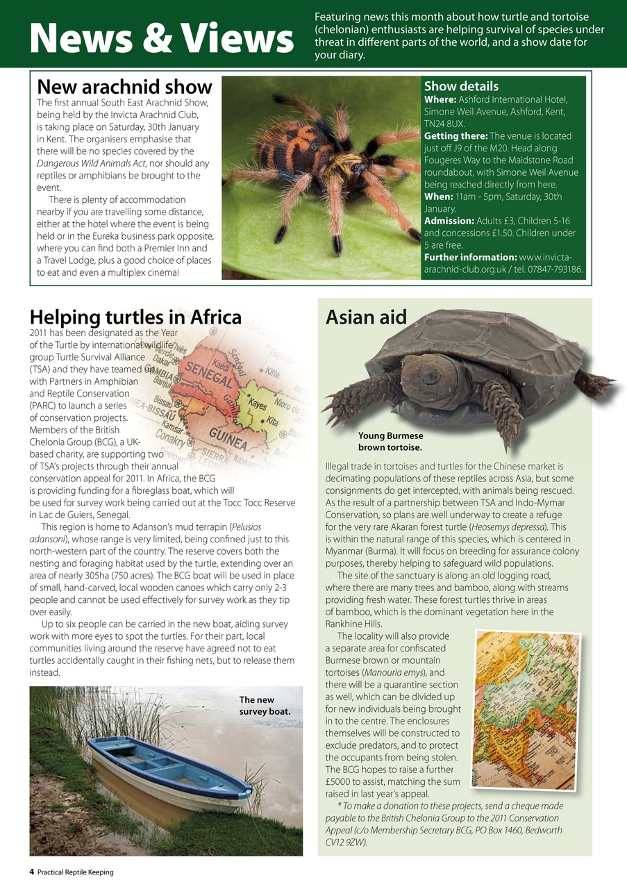 Practical Reptile Keeping Preview Pages