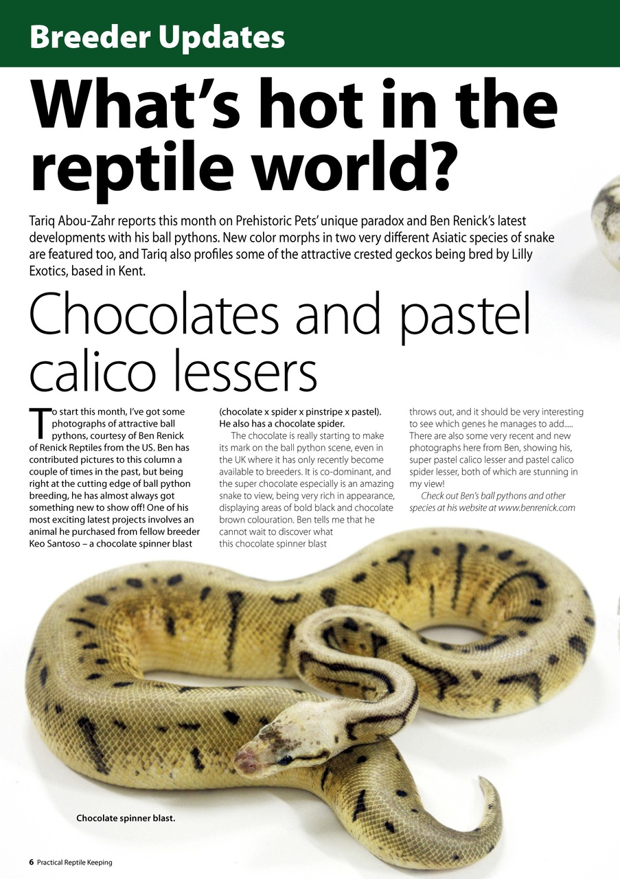 Practical Reptile Keeping Preview Pages