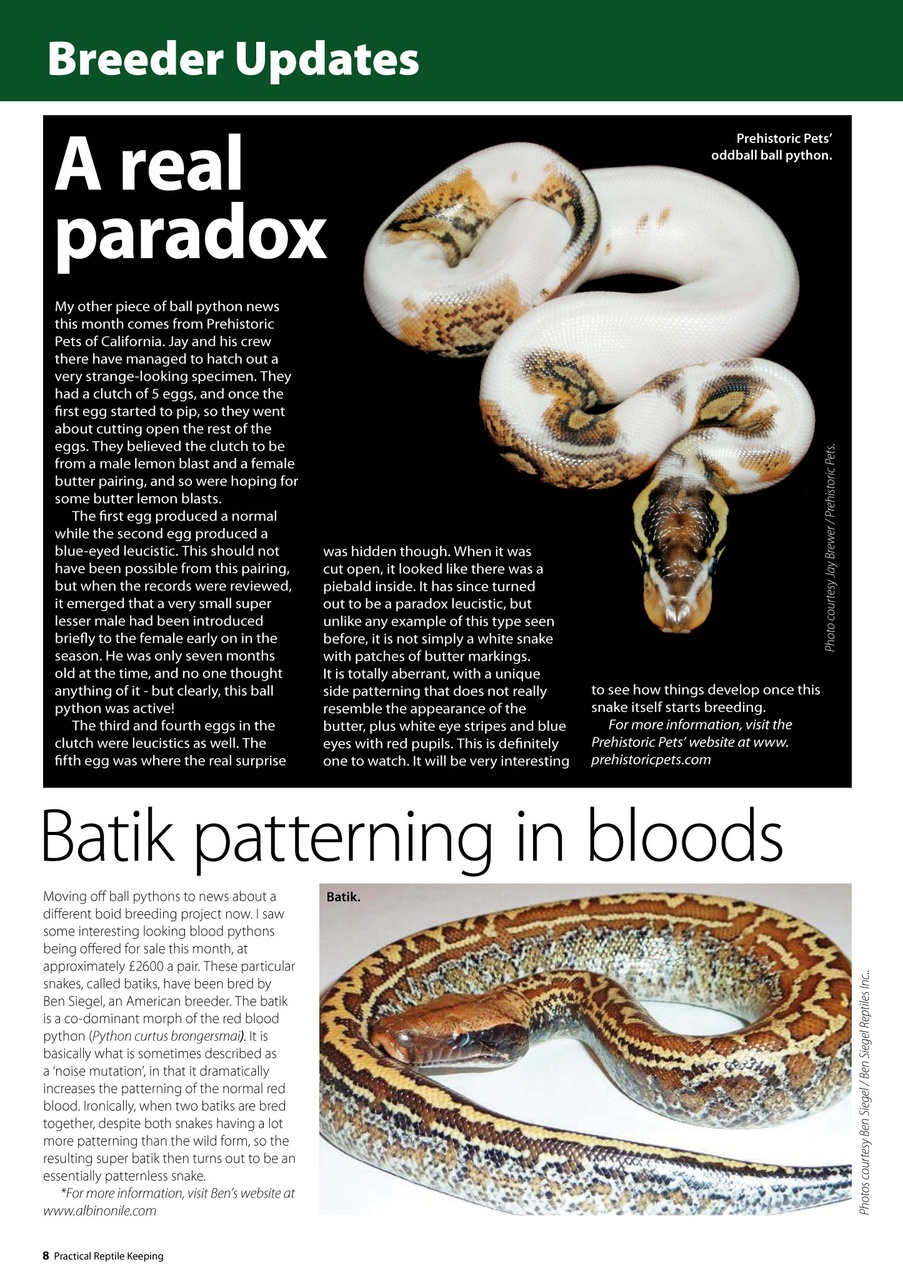 Practical Reptile Keeping Preview Pages
