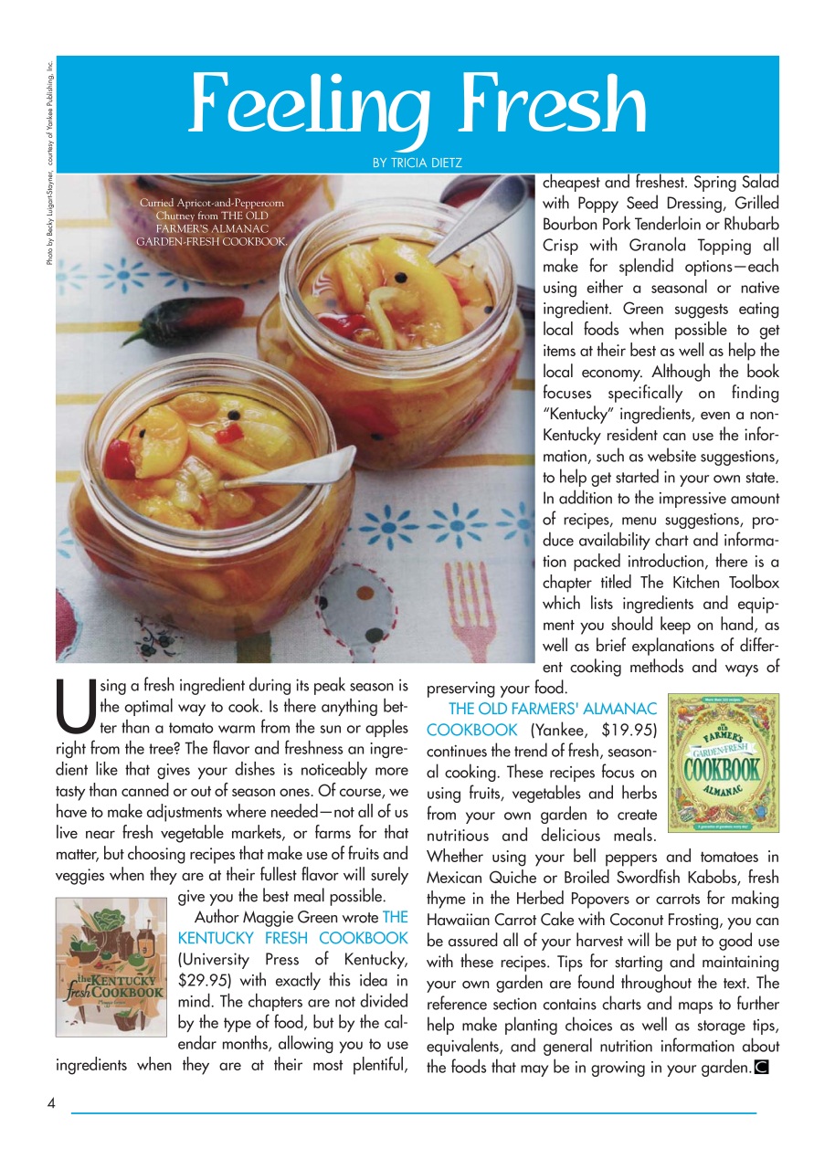 Cookbook Digest Preview Pages