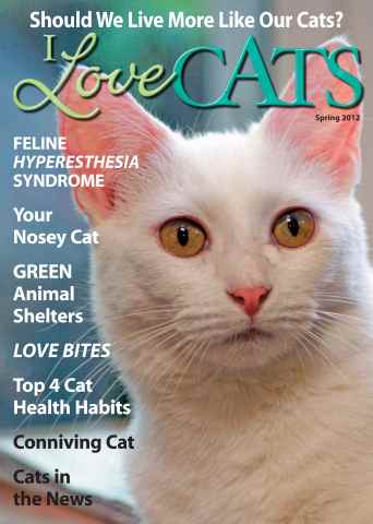 I Love Cats issue Spring 2012