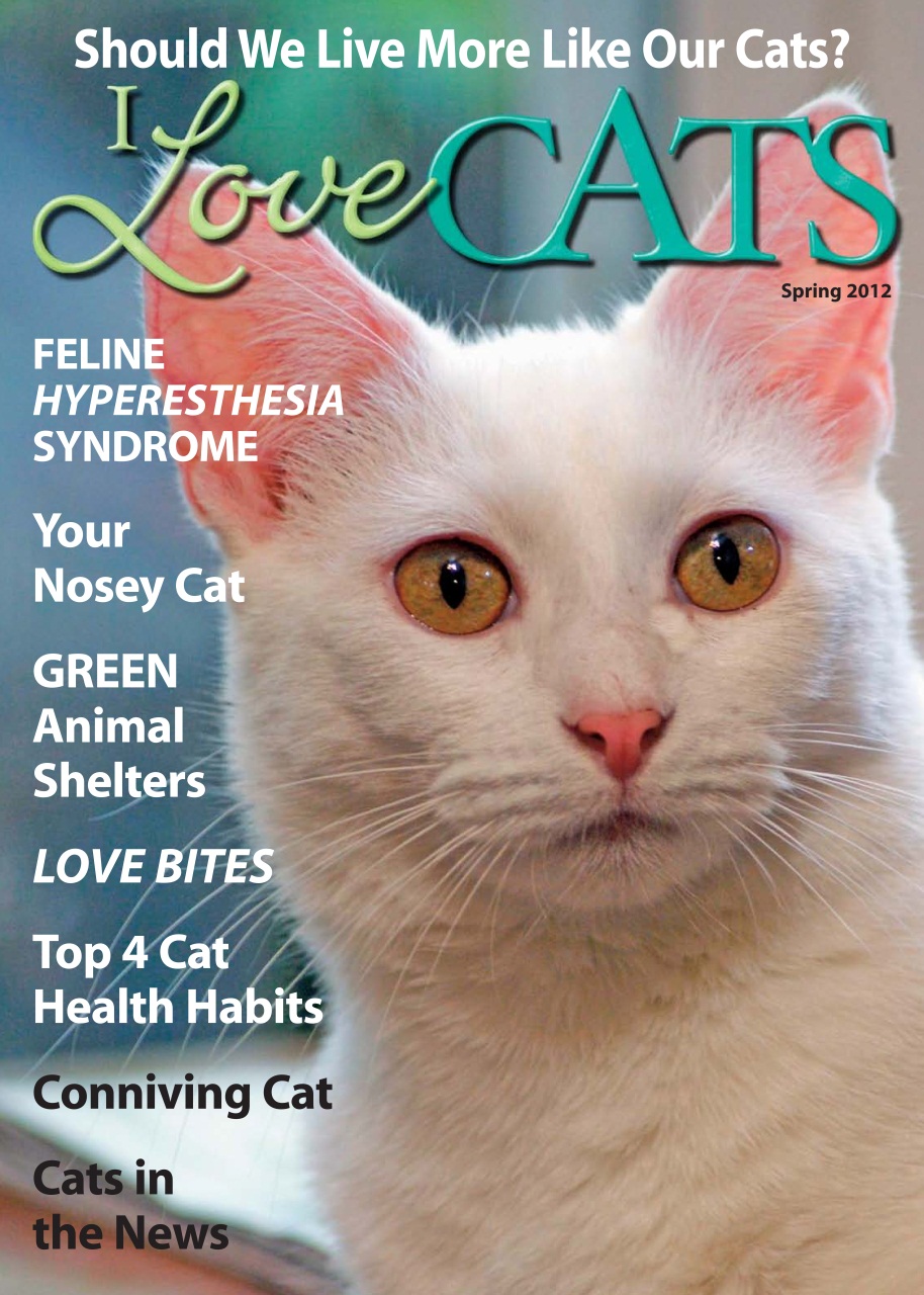 I Love Cats Preview Pages