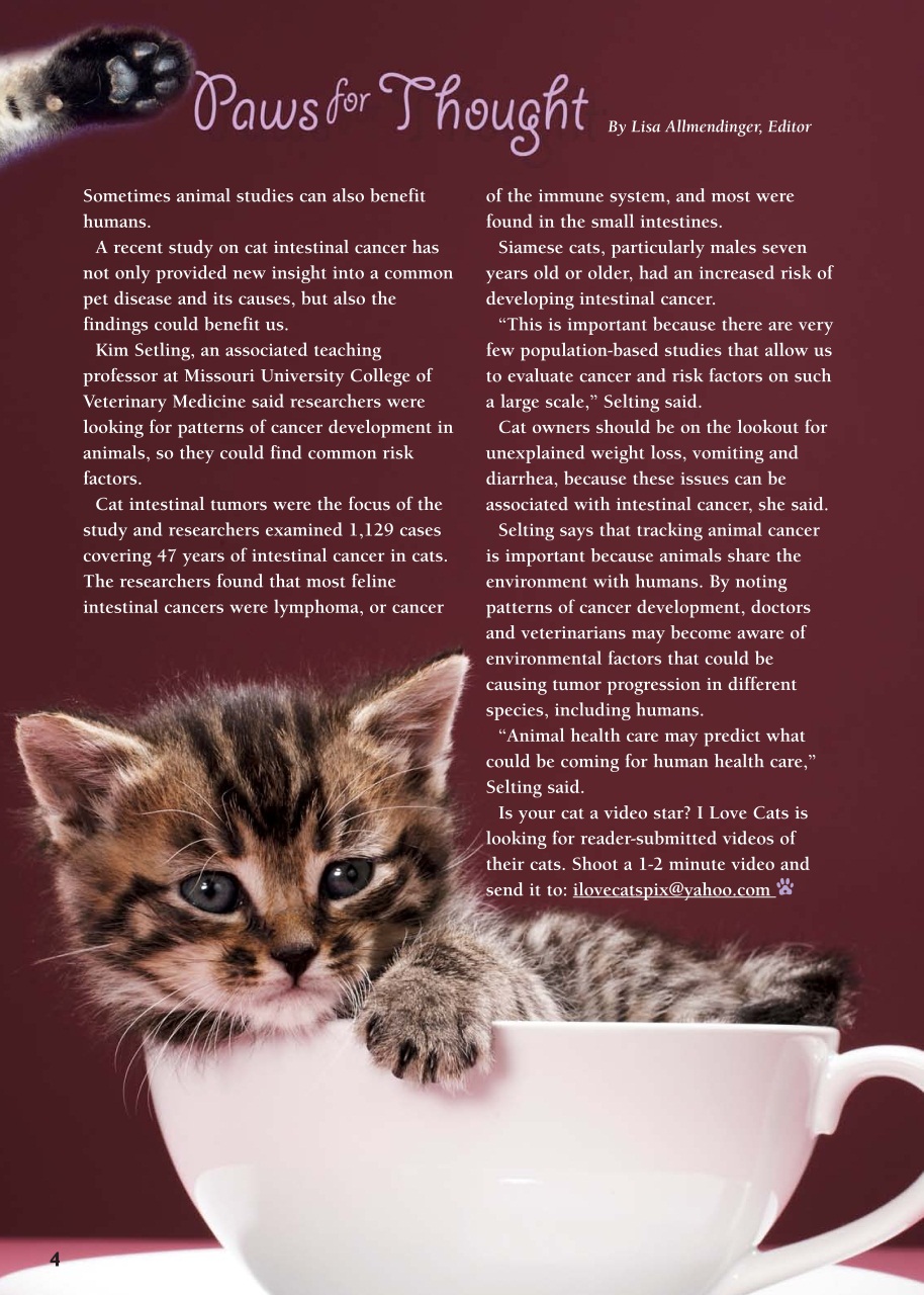 I Love Cats Preview Pages