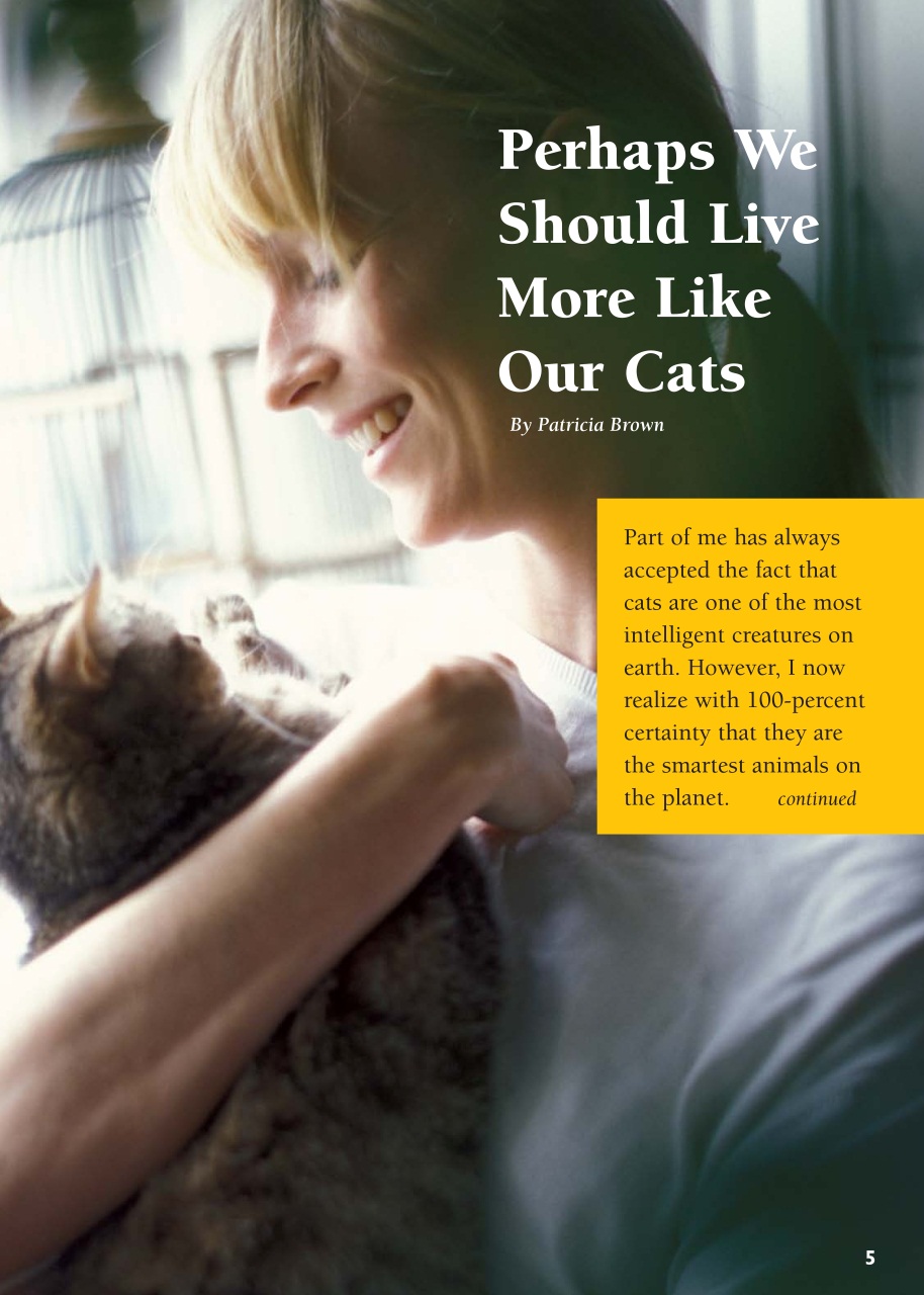 I Love Cats Preview Pages