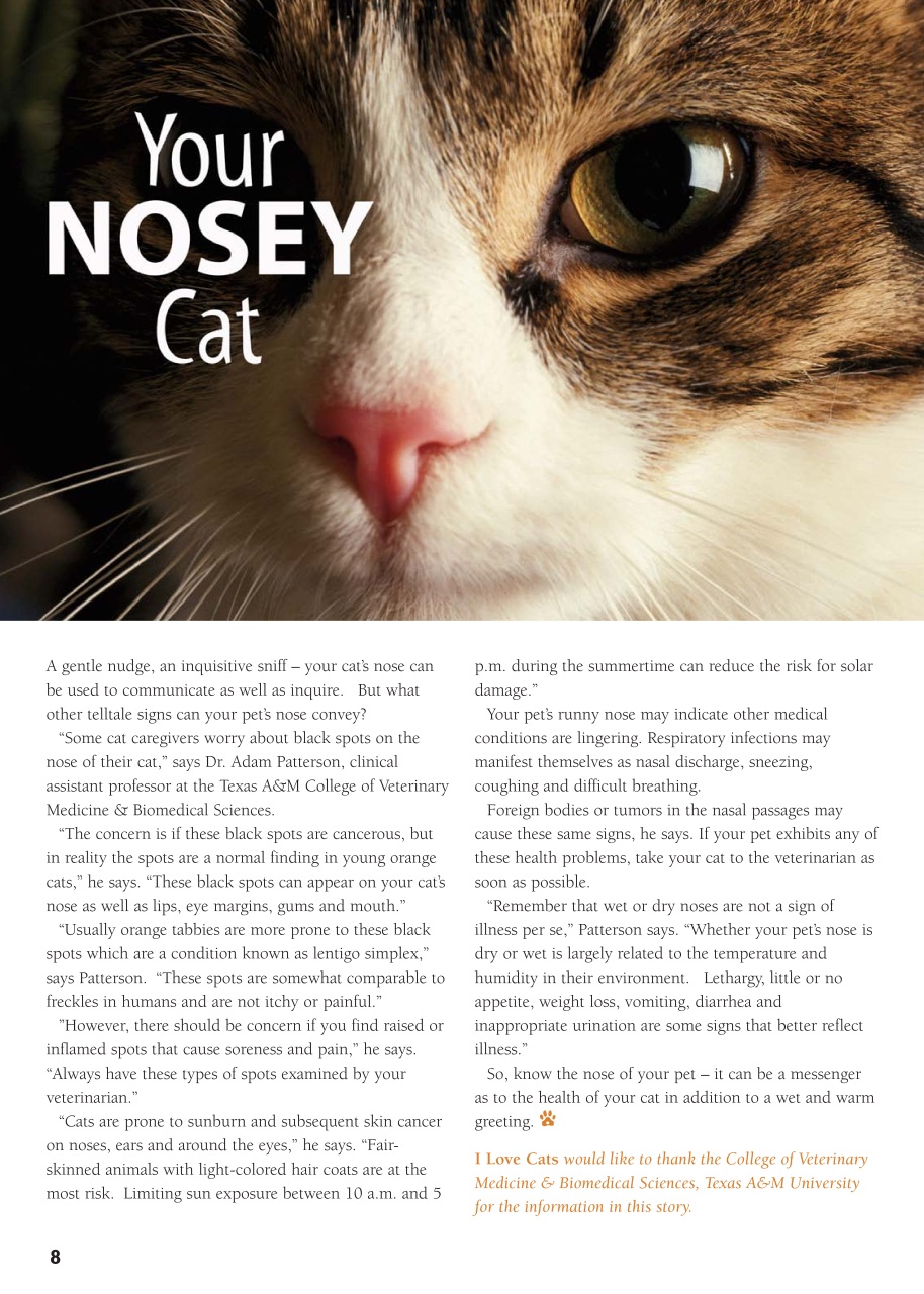 I Love Cats Preview Pages