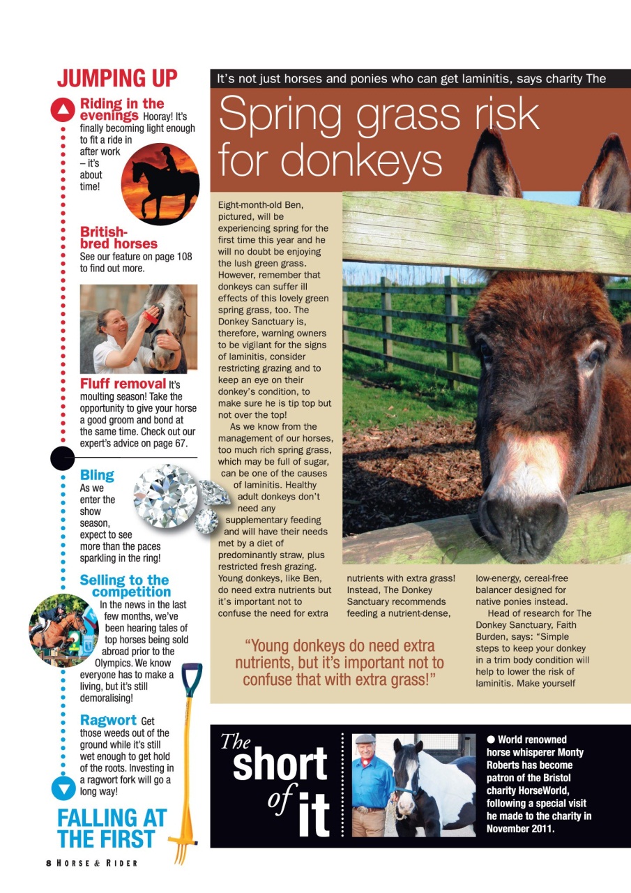 Horse&Rider Magazine - UK equestrian magazine for Horse and Rider Preview Pages