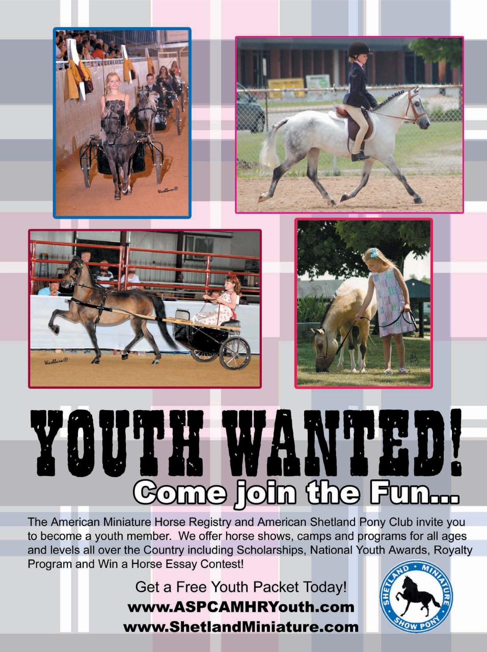 Blaze Magazine For Horse Crazy Kids Preview Pages