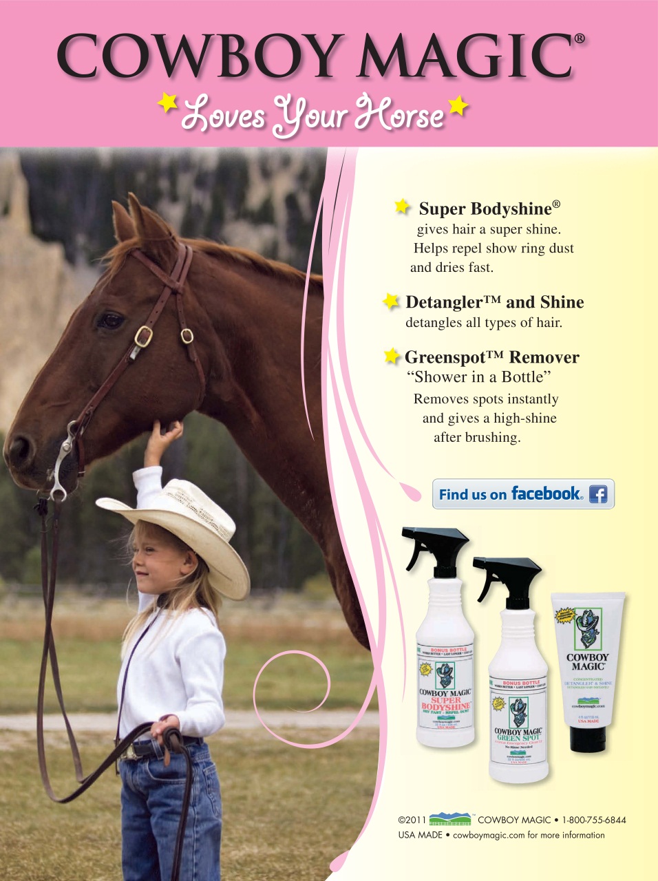 Blaze Magazine For Horse Crazy Kids Preview Pages