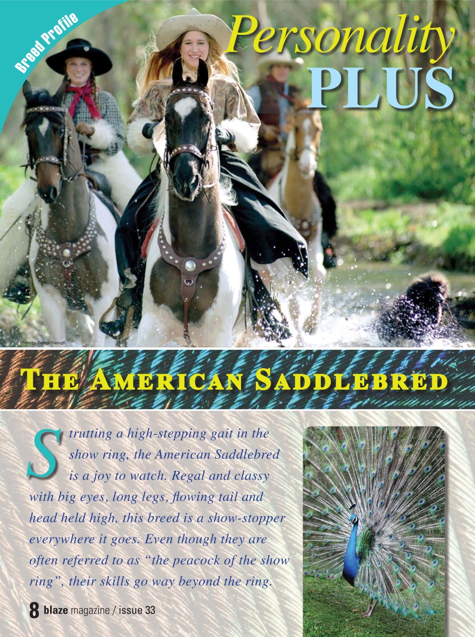 Blaze Magazine For Horse Crazy Kids Preview Pages